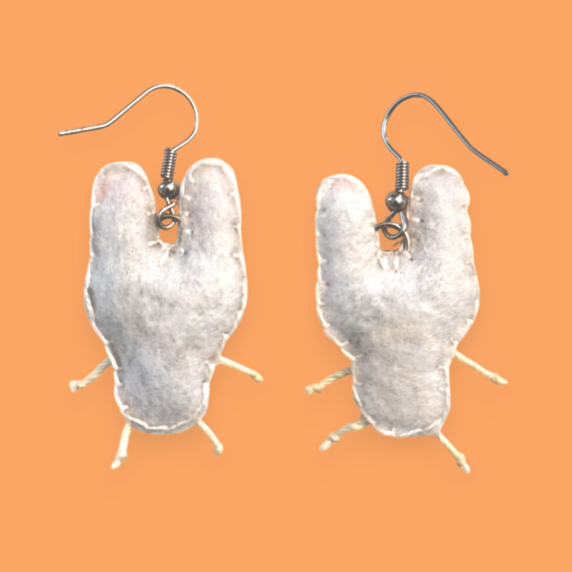 Bunny Rabbit Felt Earrings ππ₯